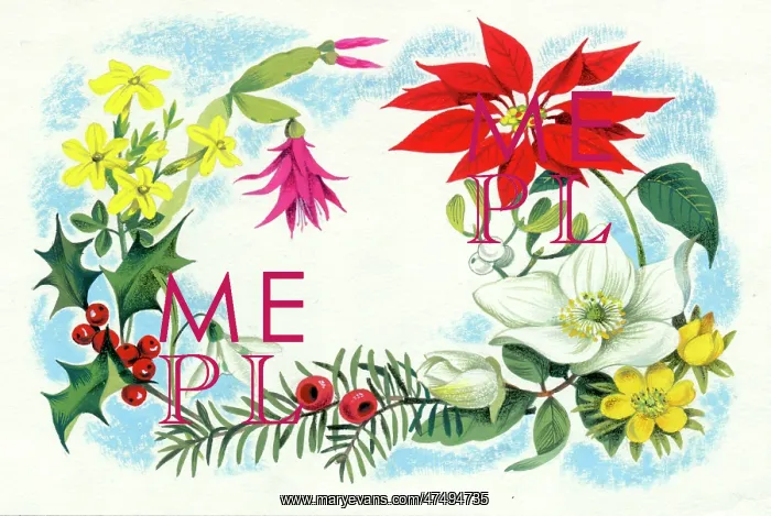 : Christmas flowers and leaves : Christmas flowers and leaves