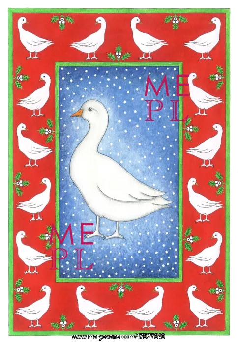 : Christmas Goose with falling snow : Christmas Goose with falling snow