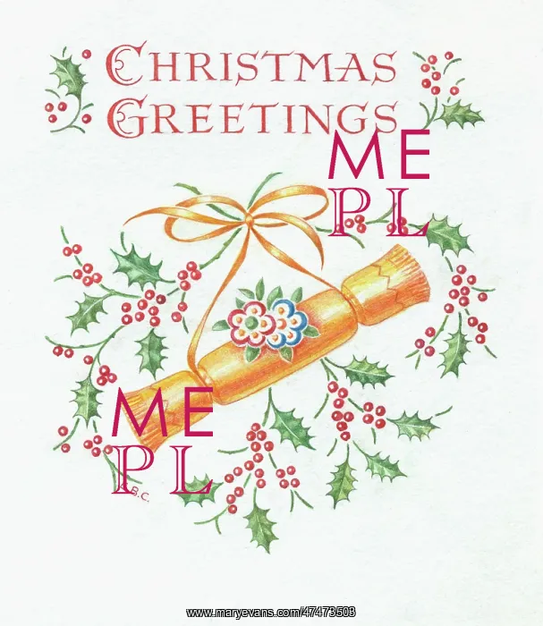 : Christmas Greetings with cracker and holly : Christmas Greetings with cracker and holly