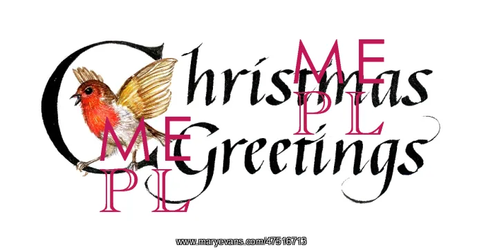 : Christmas Greetings with a robin : Christmas Greetings with a robin