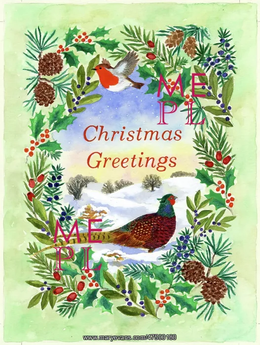 : Christmas Greetings with robin and pheasant : Christmas Greetings with robin and pheasant