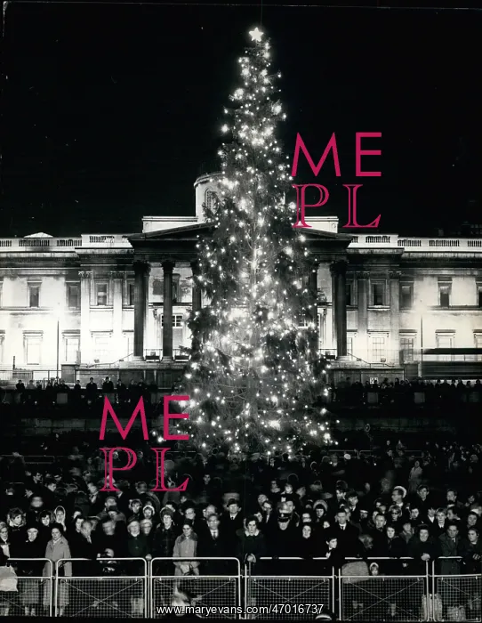 : Christmas - Halloween - Holidays : Christmas - Halloween - Holidays