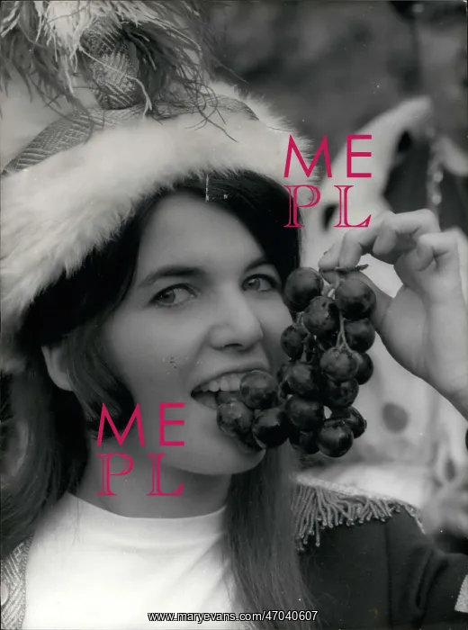 : Christmas - Halloween - Holidays : Christmas - Halloween - Holidays