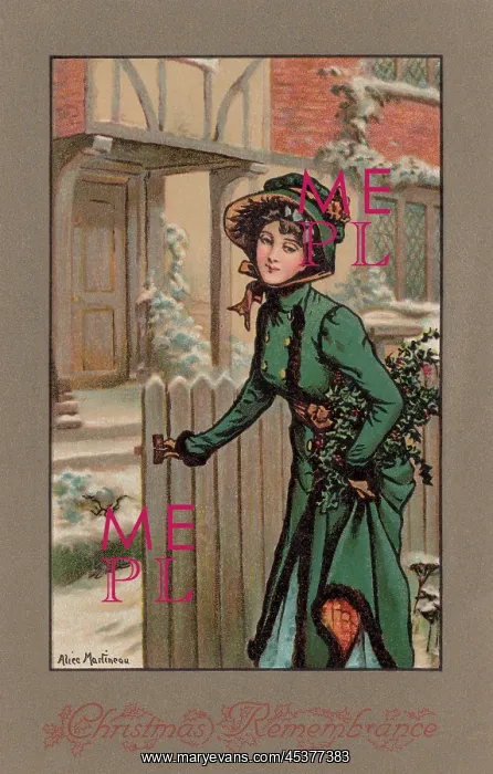 : Christmas Holly : Christmas Holly