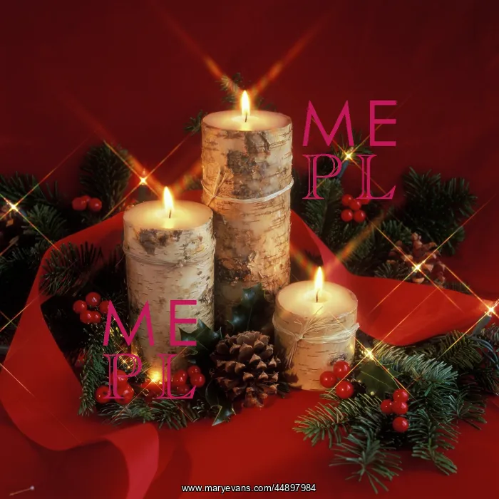 : CHRISTMAS STILL LIFE WITH BARK COVERED CANDLES : CHRISTMAS STILL LIFE WITH BARK COVERED CANDLES