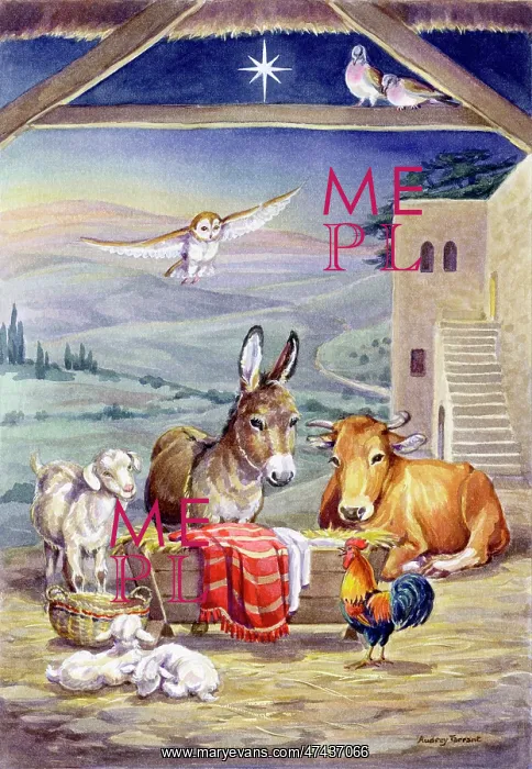  : Christmas Nativity Scene