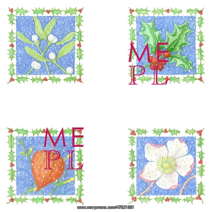 : Christmas Plants gift cards : Christmas Plants gift cards