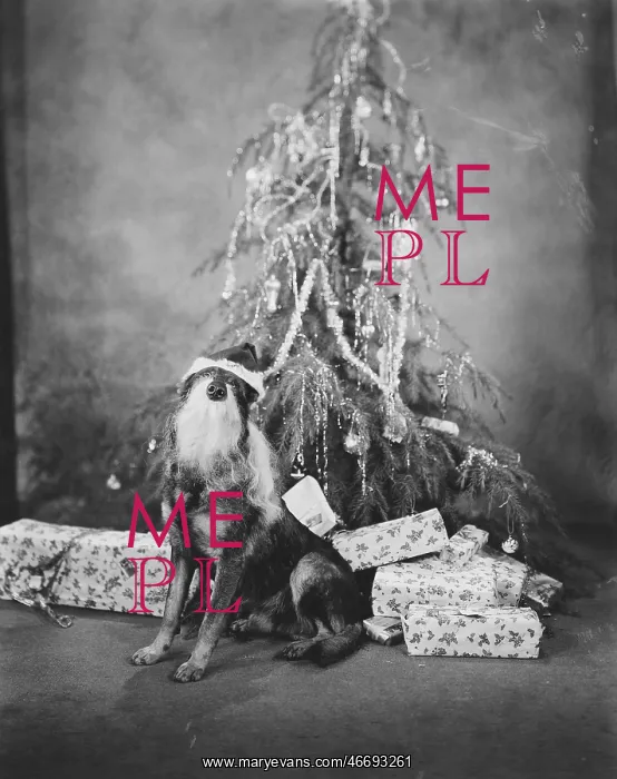 : CHRISTMAS POOCH : CHRISTMAS POOCH