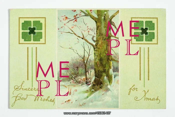 : Christmas postcard : Christmas postcard