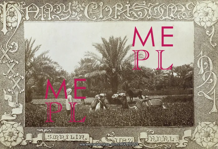 : Christmas Postcard from the Suez Canal : Christmas Postcard from the Suez Canal