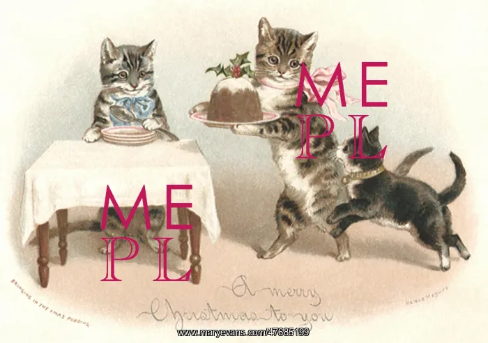  : Christmas Pudding