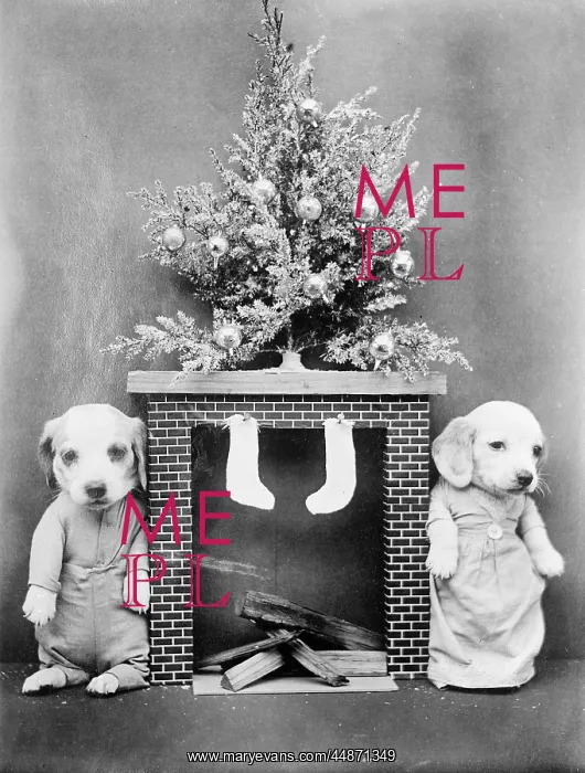 : CHRISTMAS PUPPIES : CHRISTMAS PUPPIES