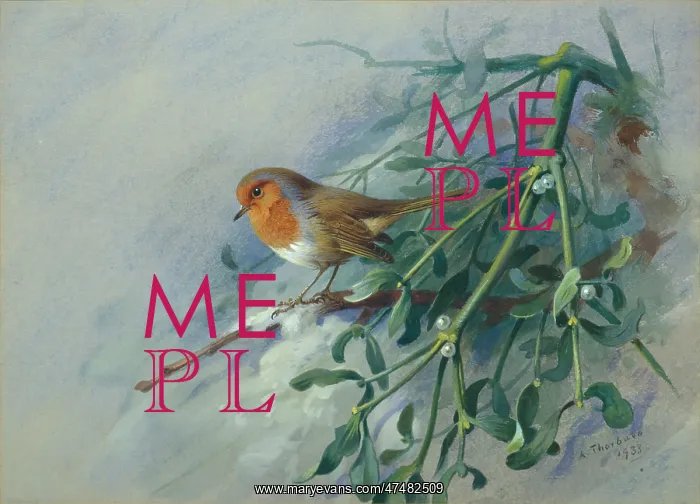 : A Christmas Robin
