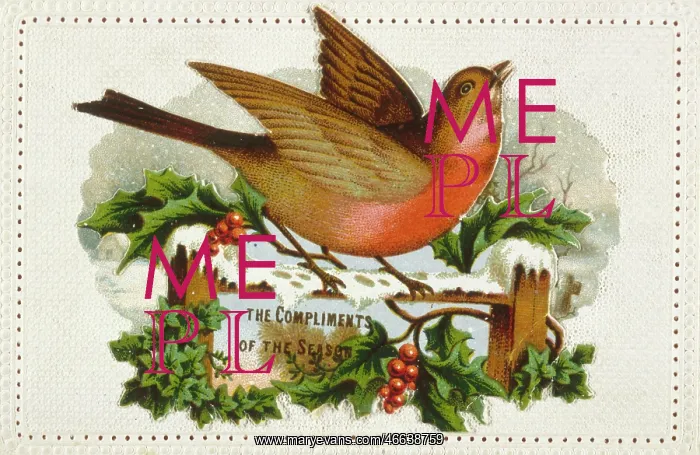 : Christmas Robin on a Gate : Christmas Robin on a Gate