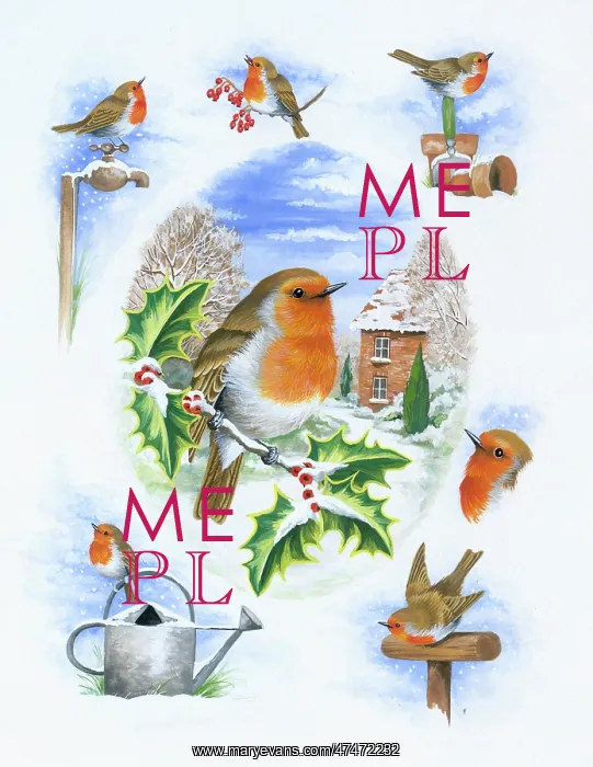  : Christmas Robins