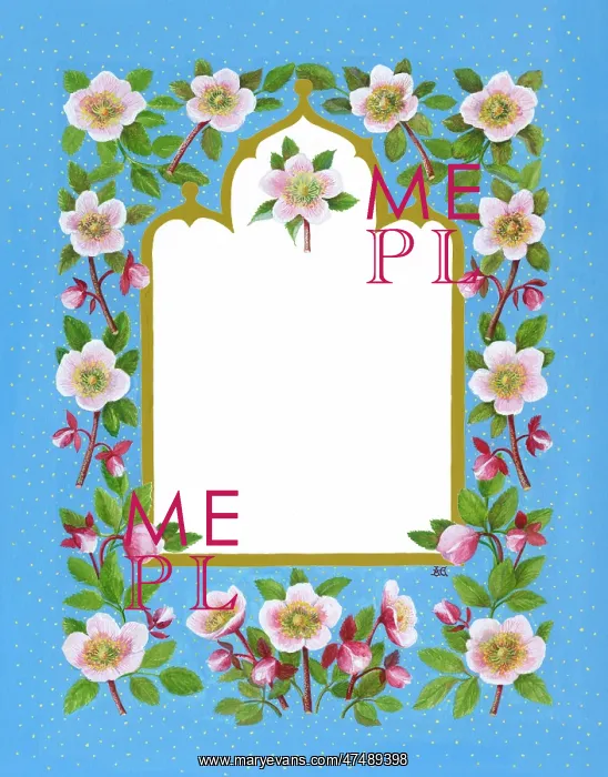 : Christmas Rose border : Christmas Rose border