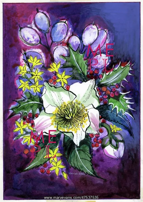 : Christmas Rose with honesty etc