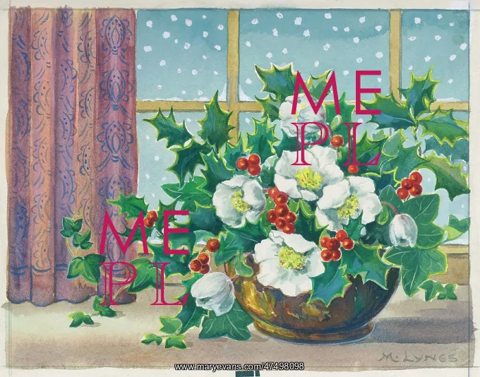 : Christmas Roses and Holly : Christmas Roses and Holly