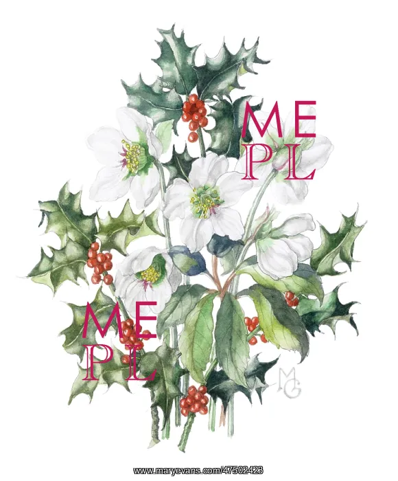  : Christmas Roses and Holly