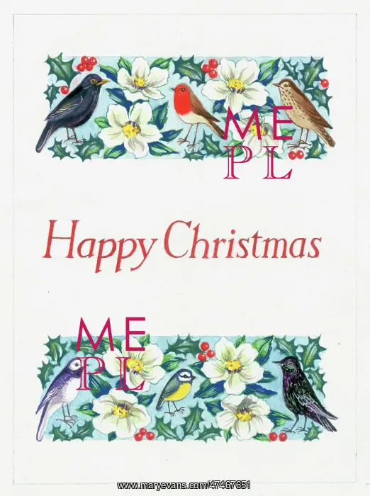 : Christmas roses, holly and six different birds : Christmas roses, holly and six different birds