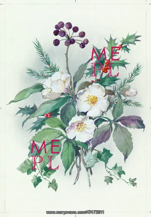  : Christmas roses with holly and ivy etc