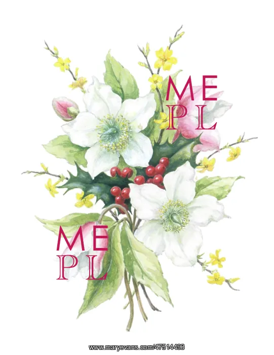  : Christmas Roses, holly and jessamine