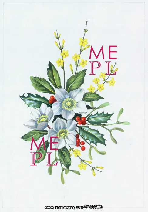 : Christmas Roses, Holly, Mistletoe etc : Christmas Roses, Holly, Mistletoe etc