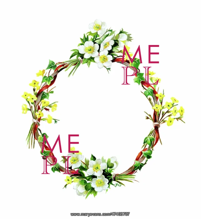 : Christmas roses and jasmine in a circle : Christmas roses and jasmine in a circle