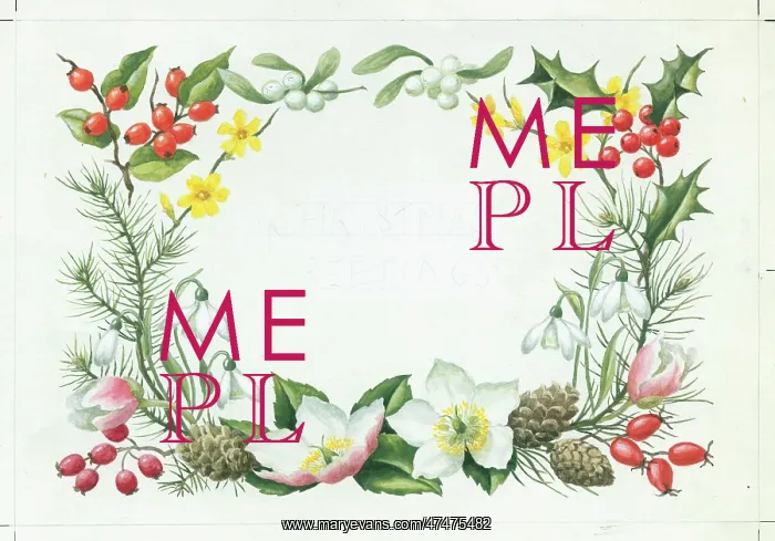  : Christmas roses, snowdrops, etc