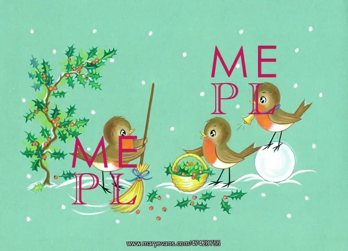  : Christmas scene with robins