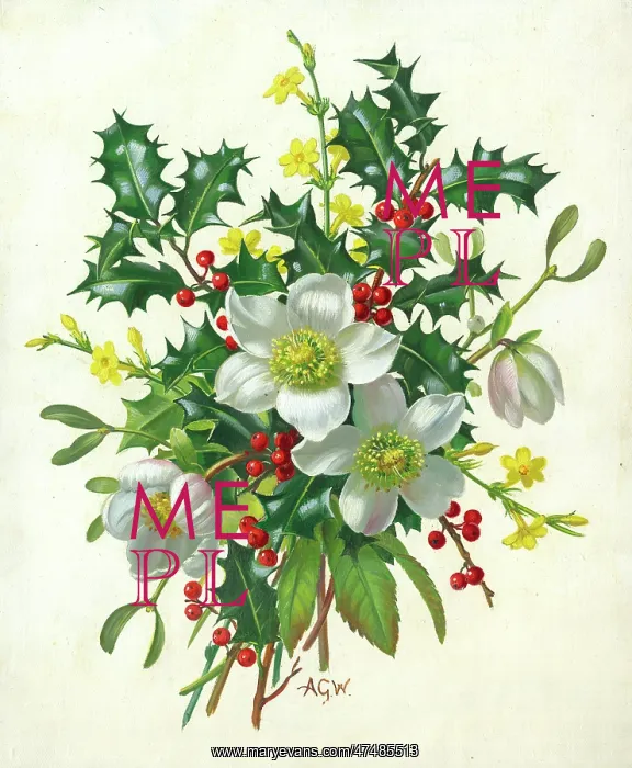  : Christmas Spray
