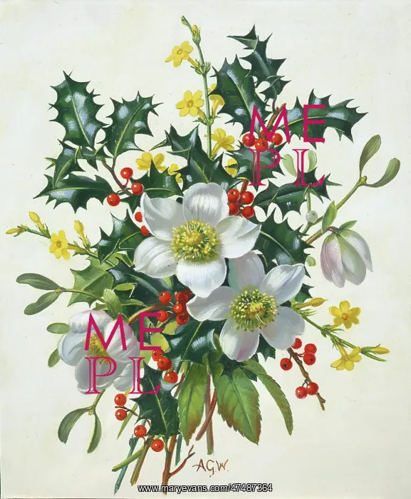 : Christmas Spray ' holly, jessamine etc : Christmas Spray ' holly, jessamine etc