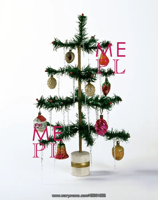 : Christmas tree : Christmas tree