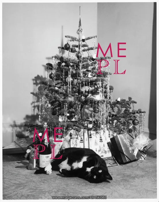 : Christmas tree and cat : Christmas tree and cat
