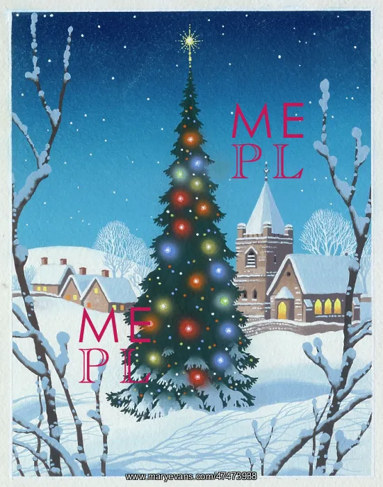  : Christmas Tree with coloured lights