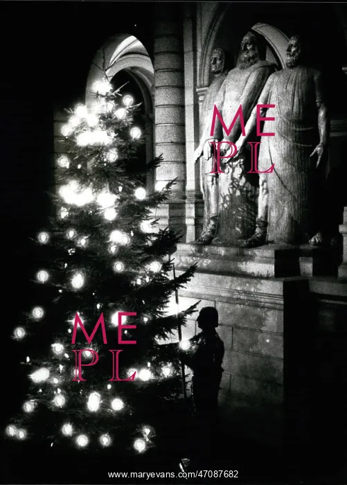 : Christmas tree and sculpture, parliament building, Berne : Christmas tree and sculpture, parliament building, Berne