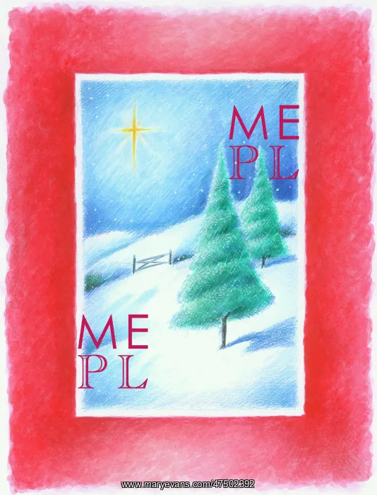 : Christmas trees in snow with star : Christmas trees in snow with star