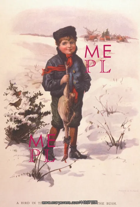  : Christmas turkey
