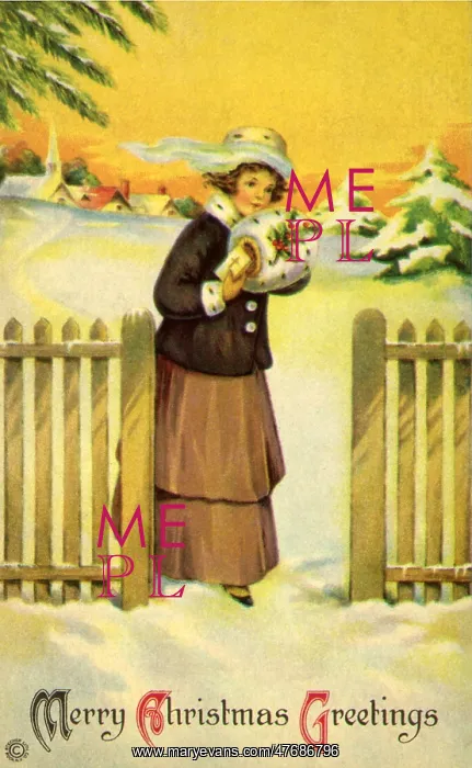  : Christmas Visitor