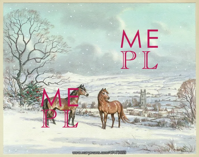  : Christmas at Widecombe