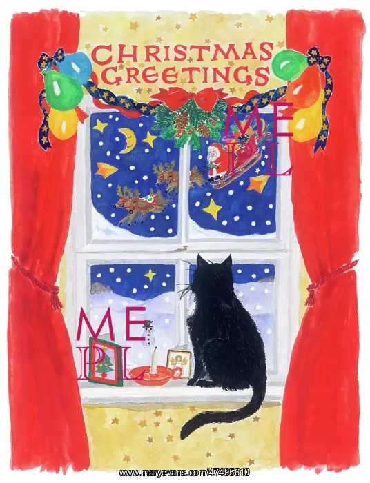: Christmas Window, Cat and Father Christmas : Christmas Window, Cat and Father Christmas