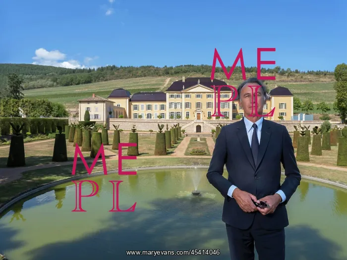 : Christophe Gruy, Chateau de la Chaize, Odenas, Rhone, France : Christophe Gruy, Chateau de la Chaize, Odenas, Rhone, France