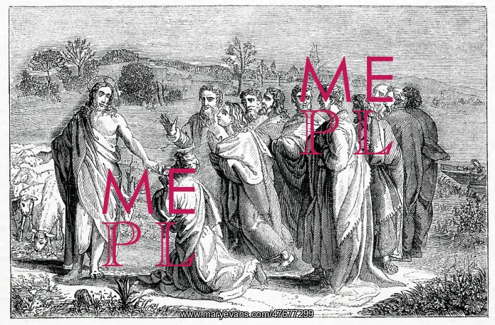 : Christ's Charge to Peter, after Raphael : Christ's Charge to Peter, after Raphael