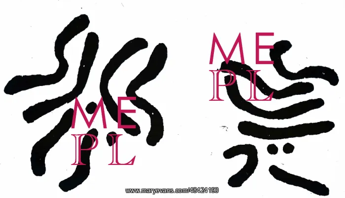 : Chromosomes of Pomace Fly : Chromosomes of Pomace Fly