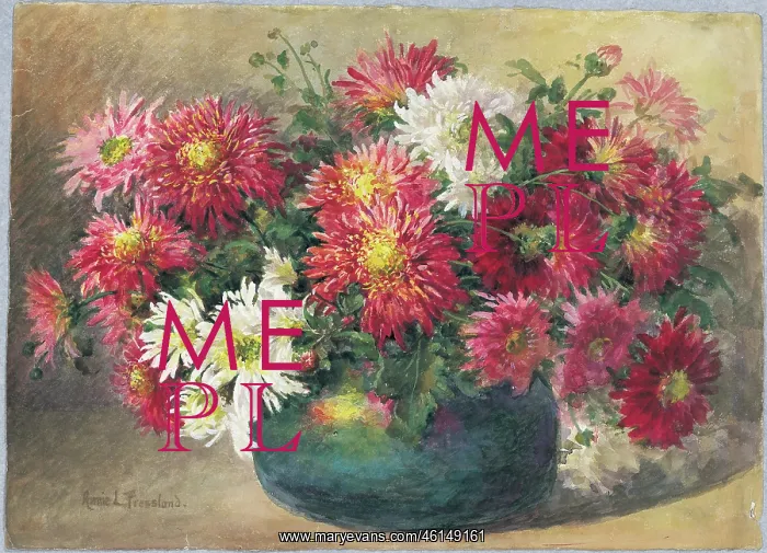  : Chrysanthemums