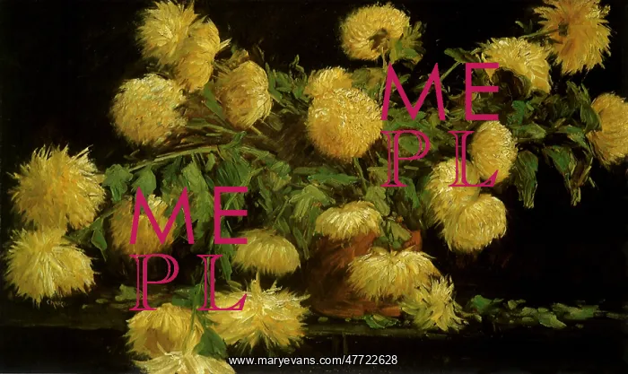 : Chrysanthemums : Chrysanthemums