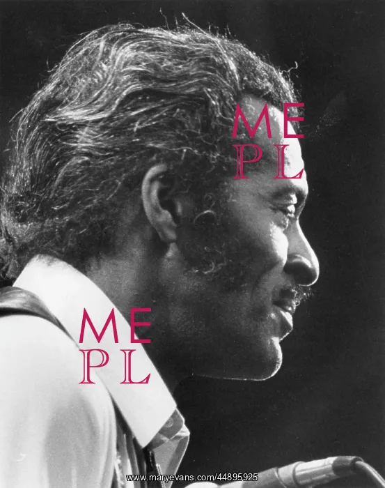 : Chuck Berry on stage : Chuck Berry on stage