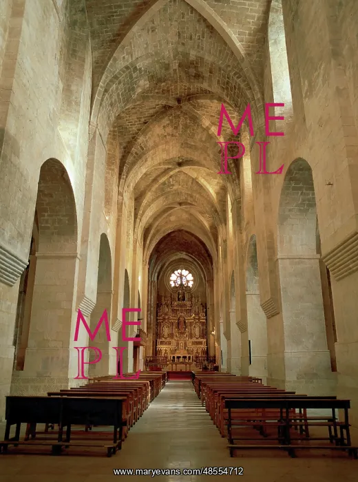 : Church of the Monastery of Santes Creus. Interior : Church of the Monastery of Santes Creus. Interior