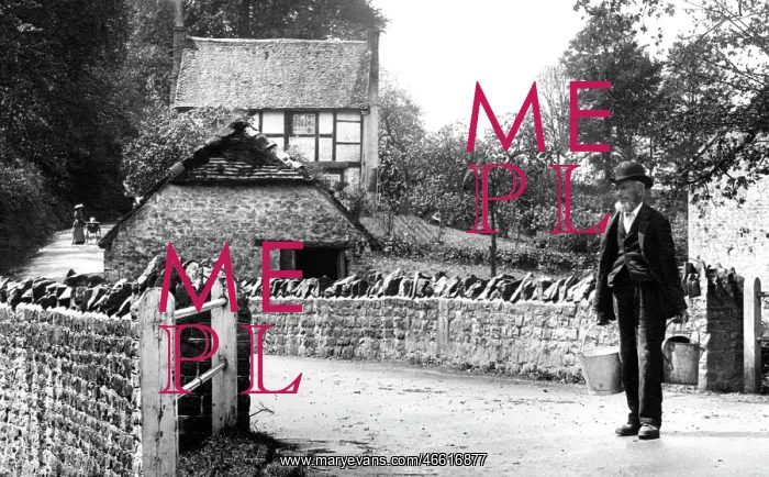 : Churt, Barford Stream 1906