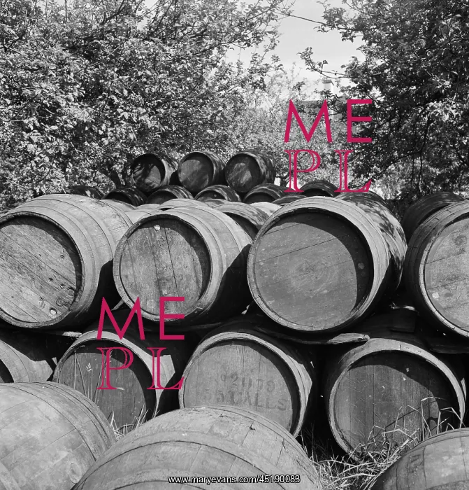 : Cider barrels : Cider barrels